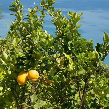 Apartman Le Terrazze Vacanze