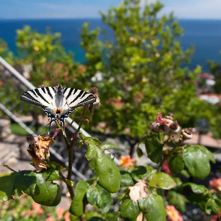 Lägenhet Le Terrazze Vacanze *