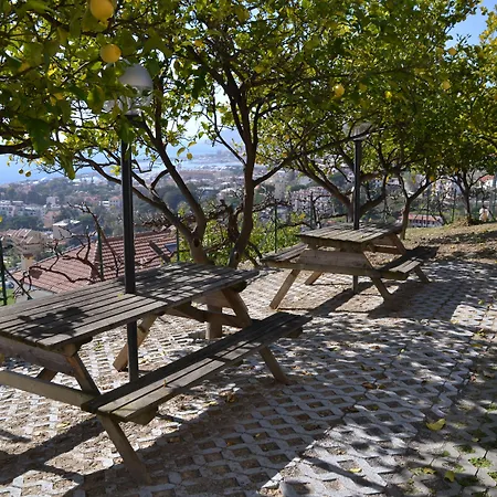 Le Terrazze Vacanze *