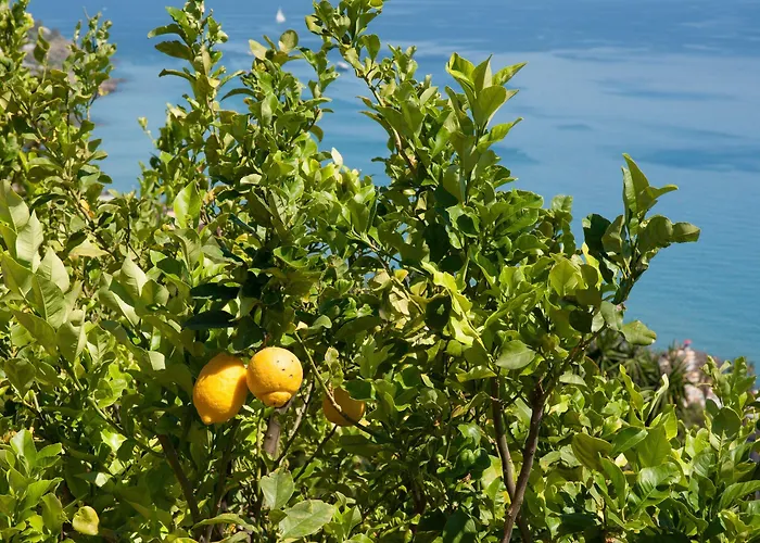 Lejlighed Le Terrazze Vacanze