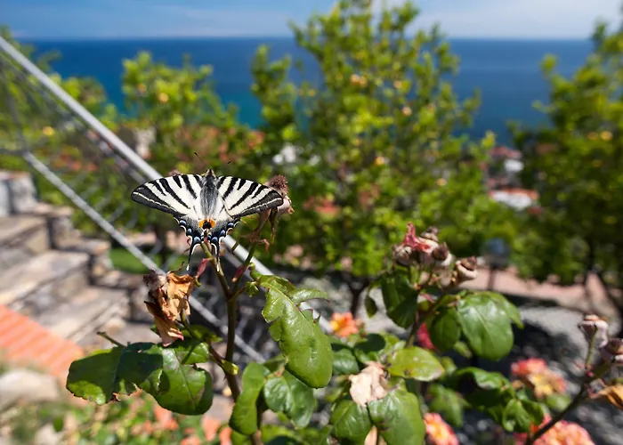 Lejlighed Le Terrazze Vacanze *